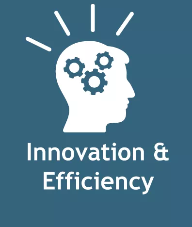 icon of a person in profile having an idea and the message innovation and efficiency
