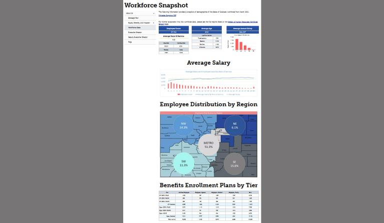 workforce snapshot webpage image